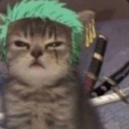 Avatar de SoySatux, un gato gris con pelo verde estilo Zoro